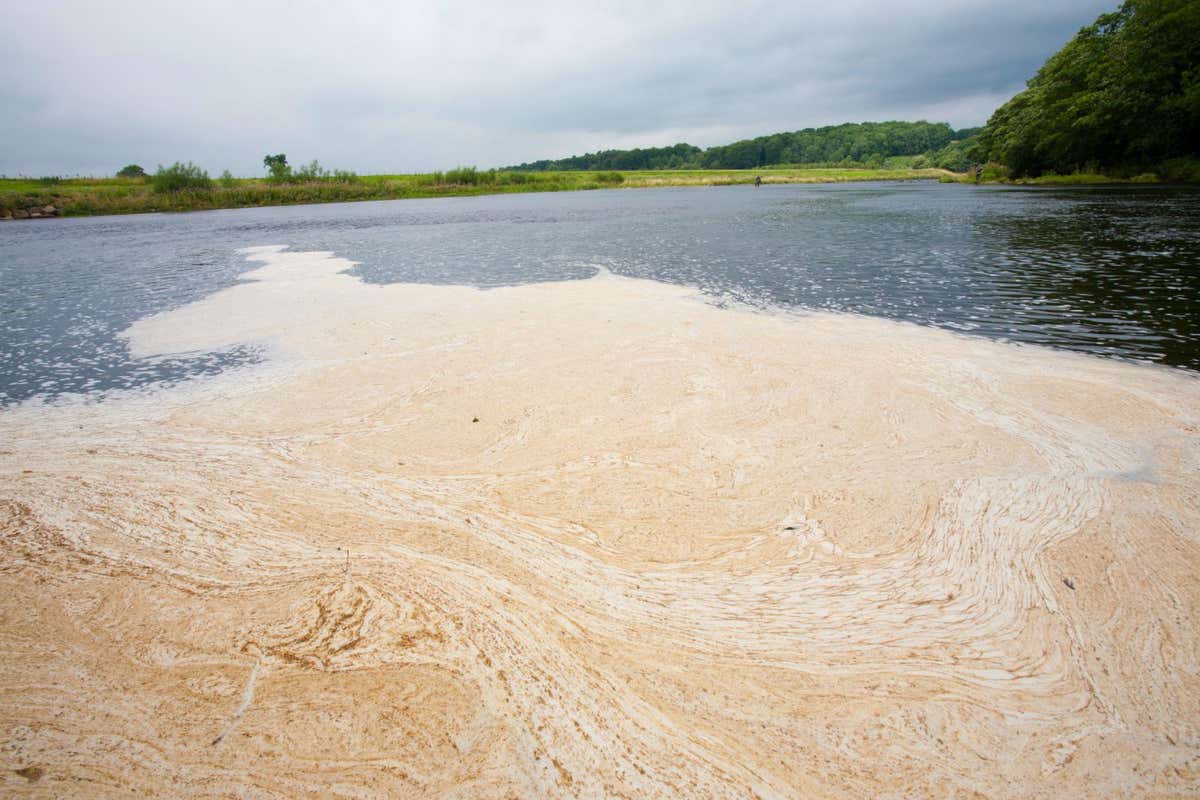 Scum floating on the River Ribble near Clitheroe in Lancashire, UK