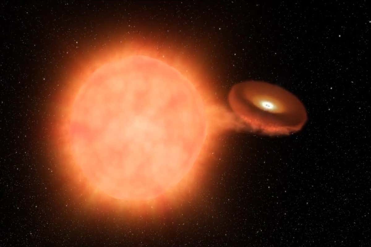 NASA Videograb: Type Ia Supernova.This animation shows the explosion of a white dwarf, an extremely dense remnant of a star that can no longer burn nuclear fuel at its core. In this "type Ia" supernova, white dwarf's gravity steals material away from a nearby stellar companion. When the white dwarf reaches an estimated 1.4 times the current mass of the Sun, it can no longer sustain its own weight, and blows up. Credit: NASA/JPL-Caltech https://exoplanets.nasa.gov/resources/2172/type-ia-supernova/